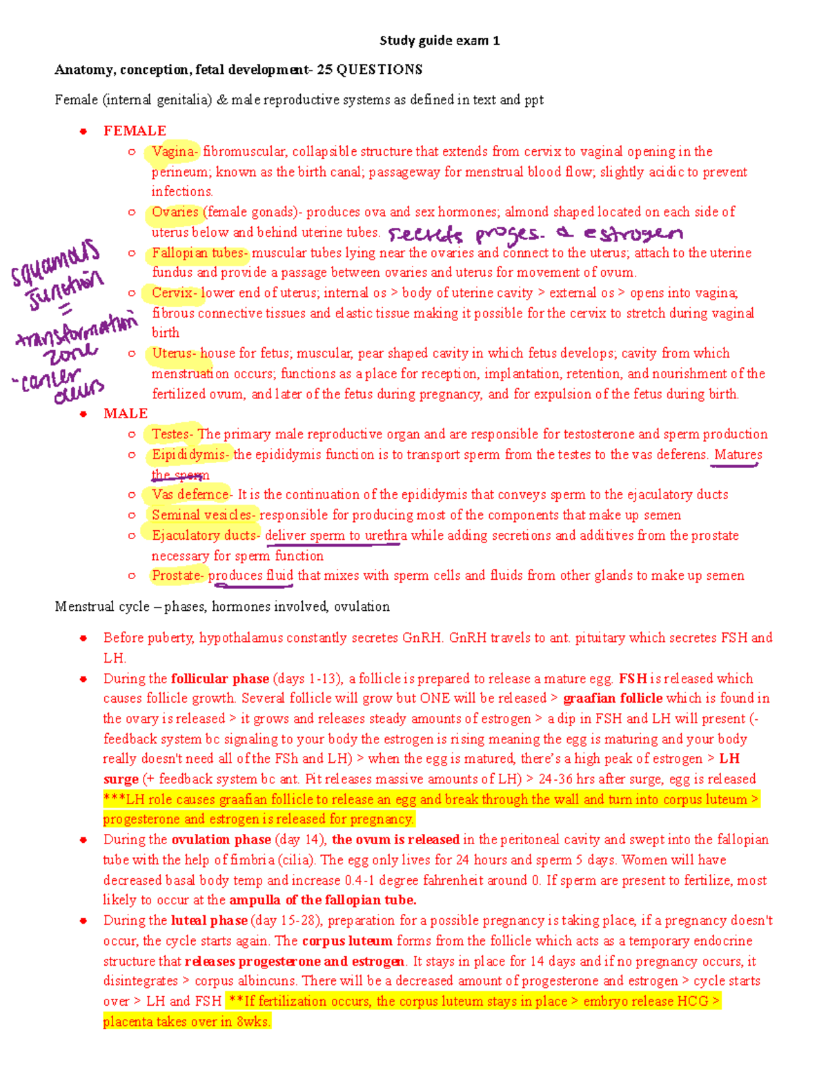 OB Study guide exam 1 - Study guide exam 1 Anatomy, conception, fetal ...