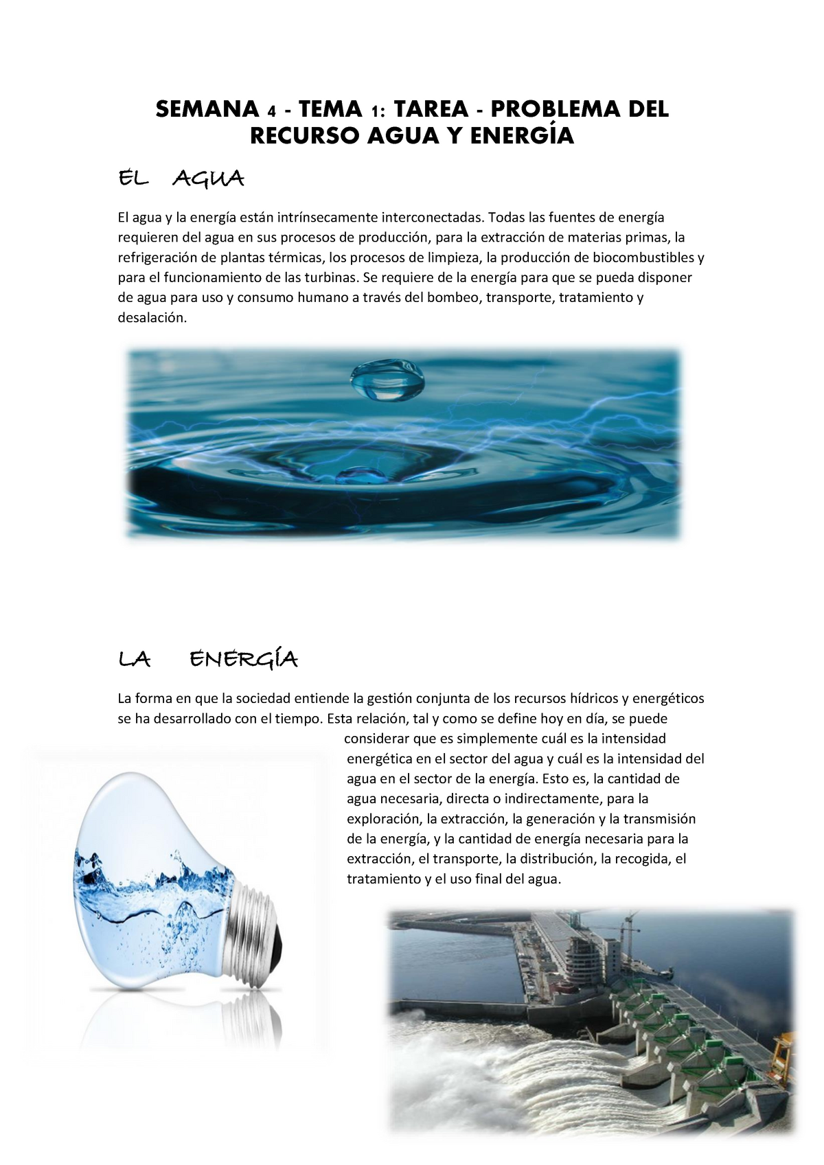 Semana 4 Semana 4 Tema 1 Tarea Problema Del Recurso Agua Y