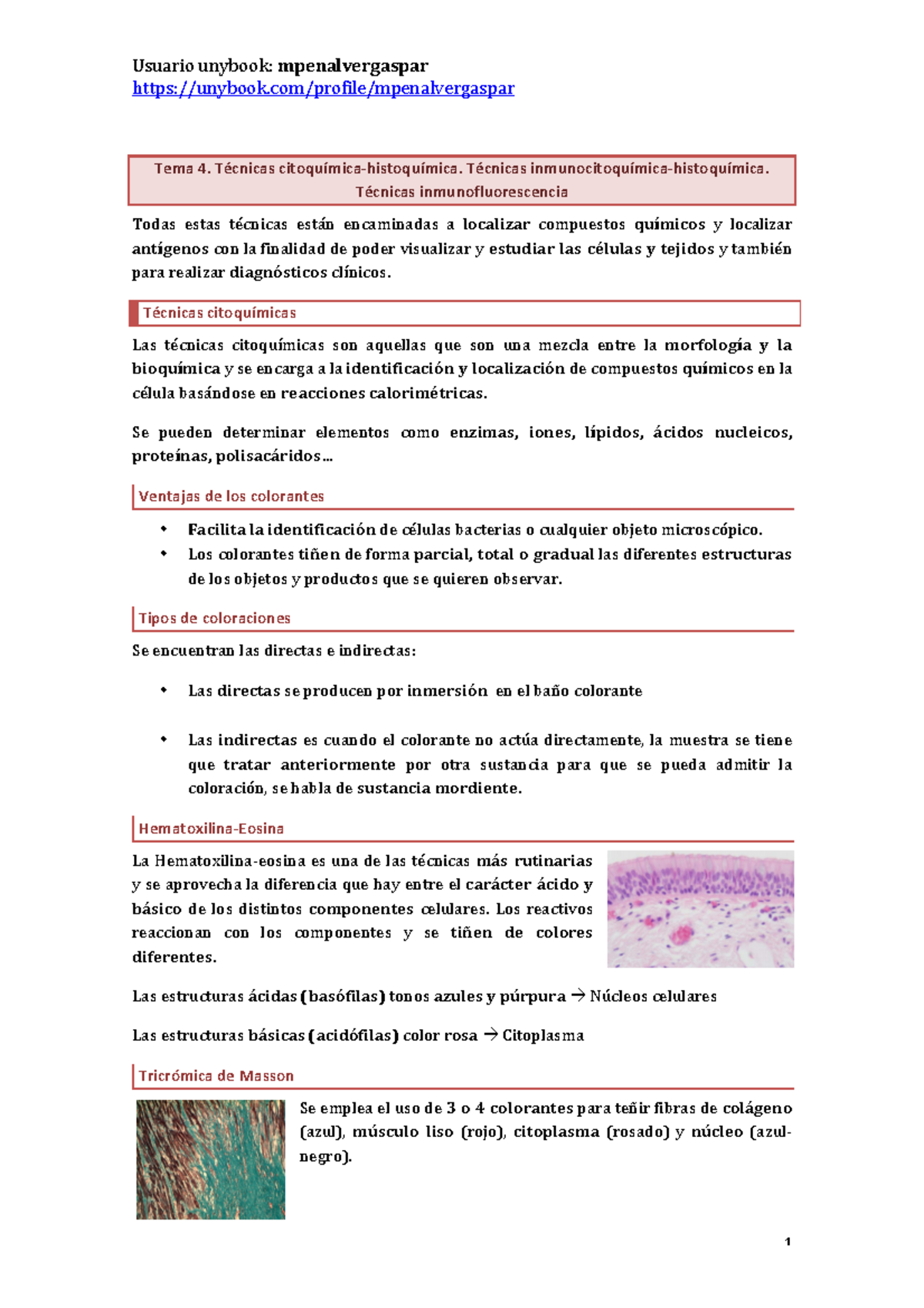 Tema 4 Tècniques De Microscopia Urv 14204204 Urv Studocu