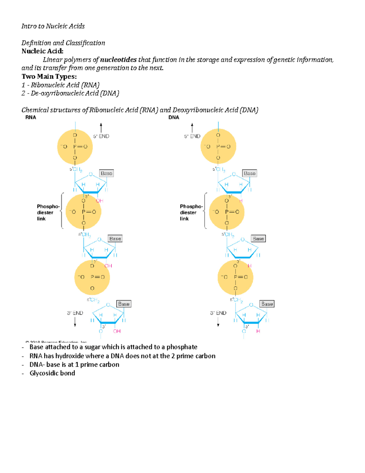 Intro to Nucleic Acids I Notes Intro to Nucleic Acids Definition and