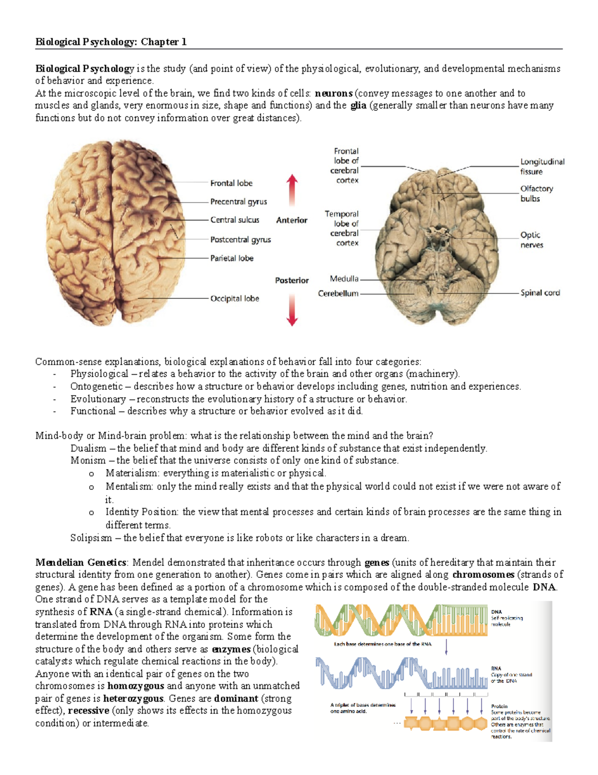 Bio Psyc Chapter 1 - Biological Psychology: Chapter 1 Biological ...