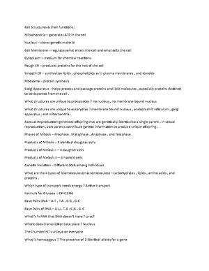 Cellcycle-Worksheet+HHMI+Biointeractive - Click and Learn The ...