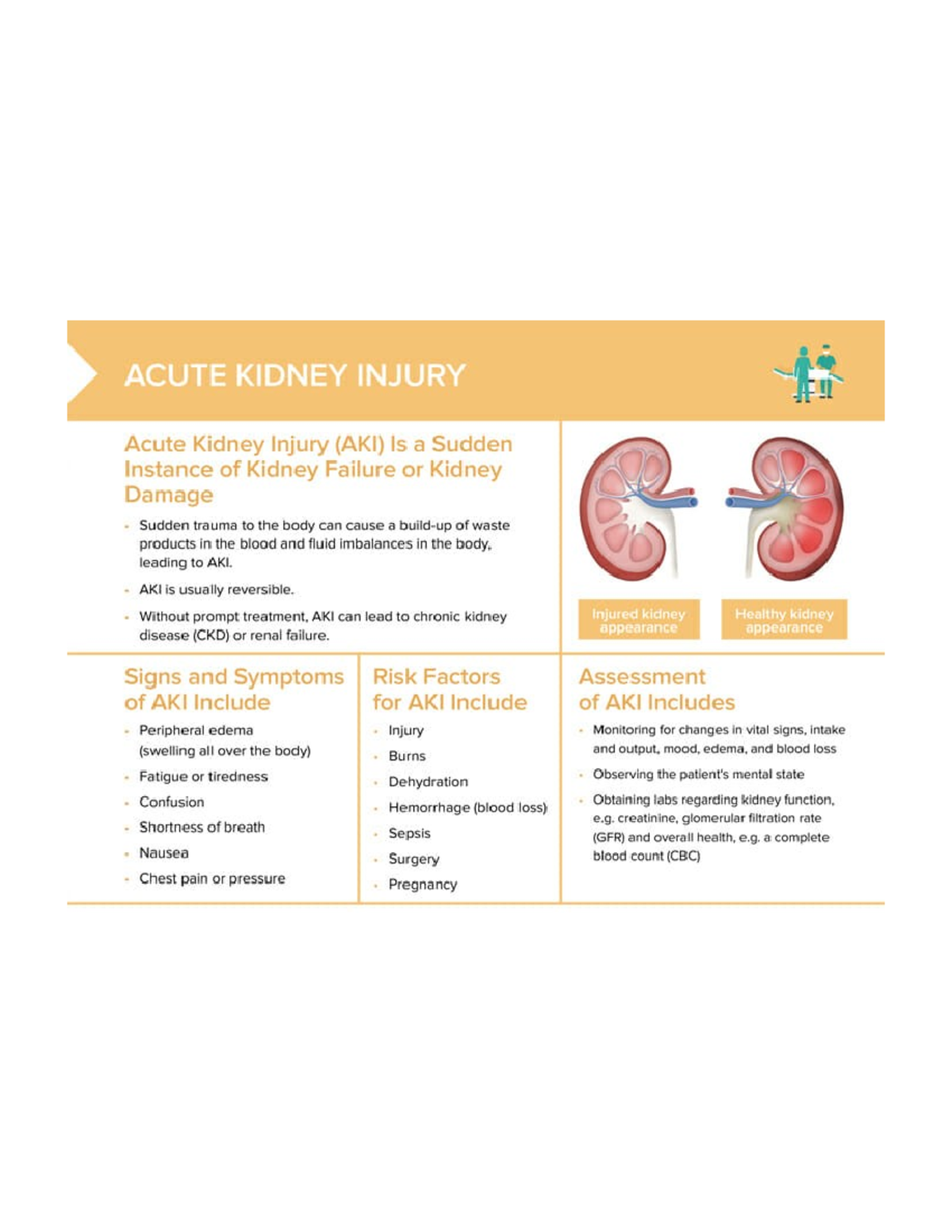 REnal - Adult Nursing - Studocu