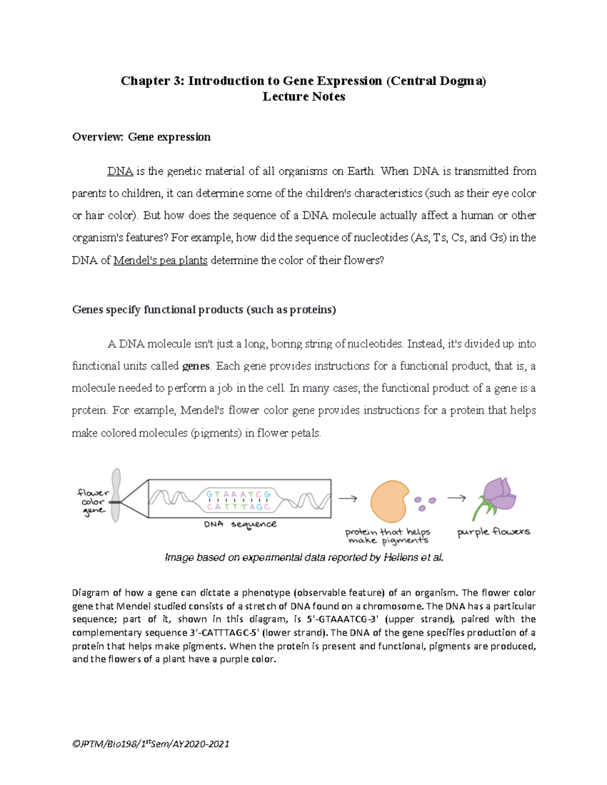 Lecture Notes Chapter 3 Central Dogma BIO 198 - Warning: TT: undefined ...