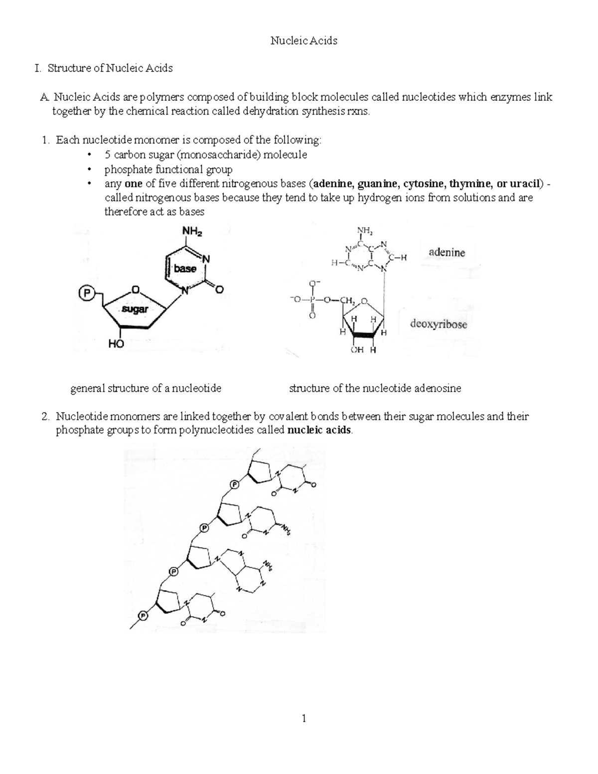 Nucleic acids s21 Nucleic Acids I. Structure of Nucleic Acids A