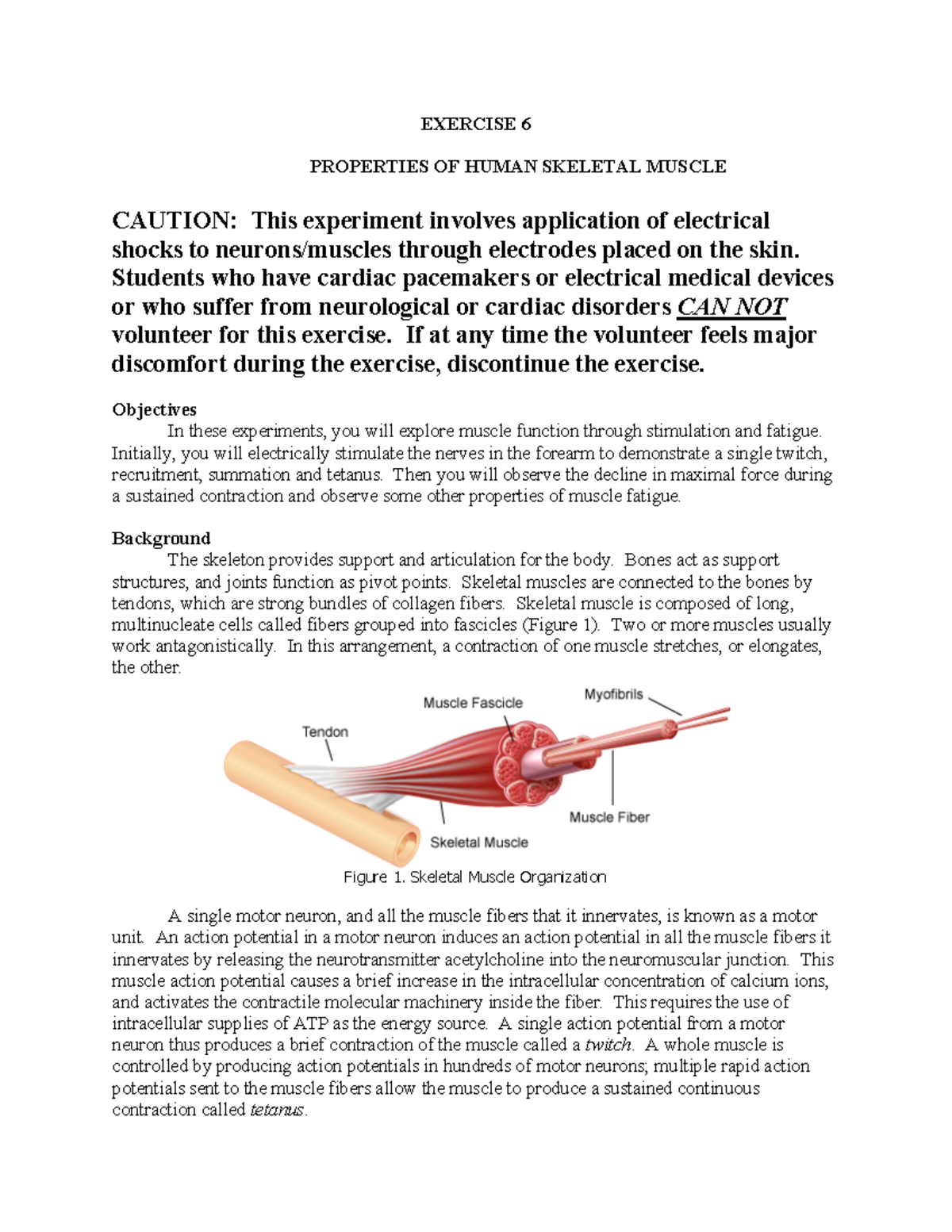 New Instructions for Human Muscle Lab BIOL261 SDSU Studocu