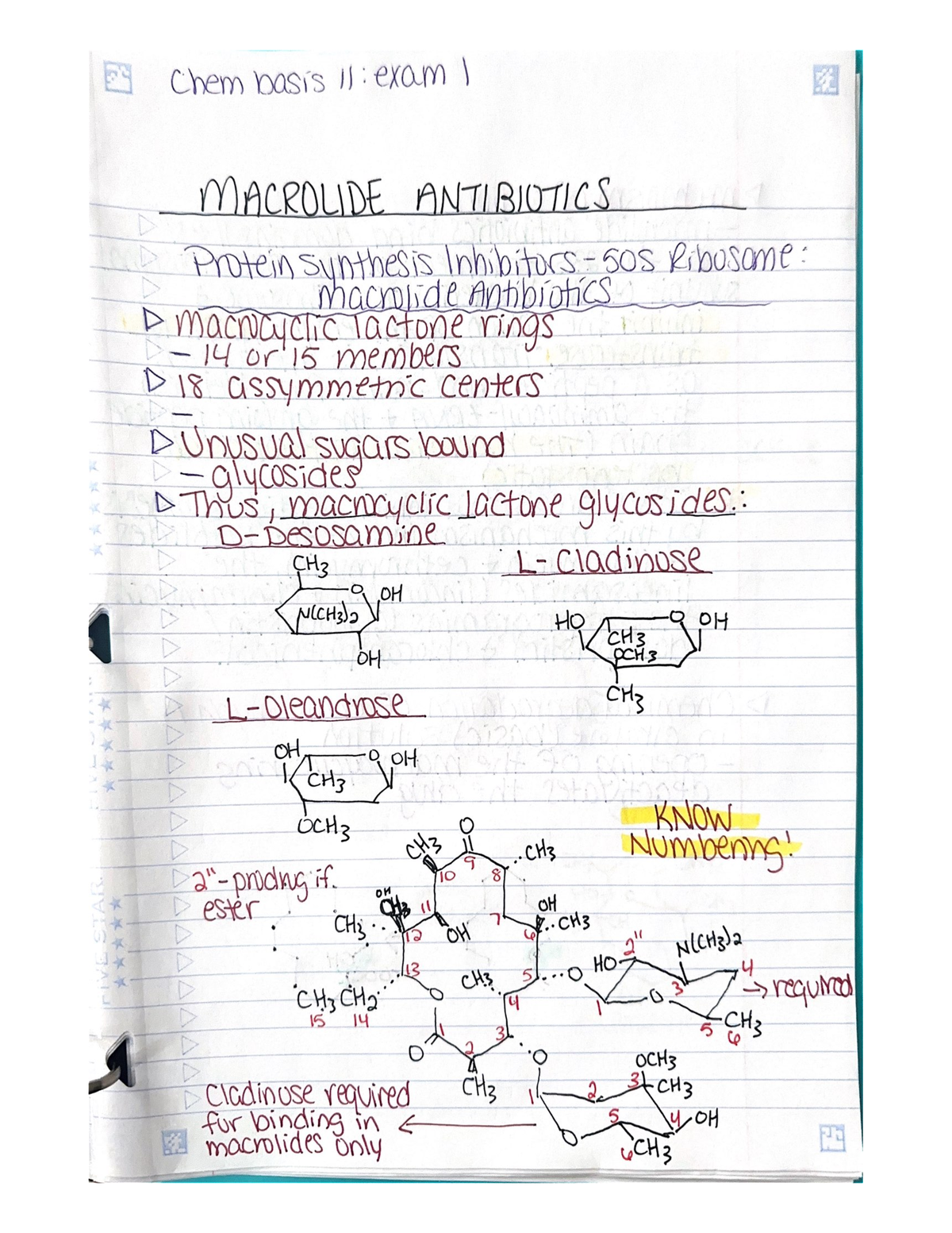 Macrolide Antibiotics PHA 447 Studocu   Thumb 1200 1553 