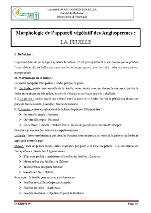 Cour10. Feuilles - cours de la feuille