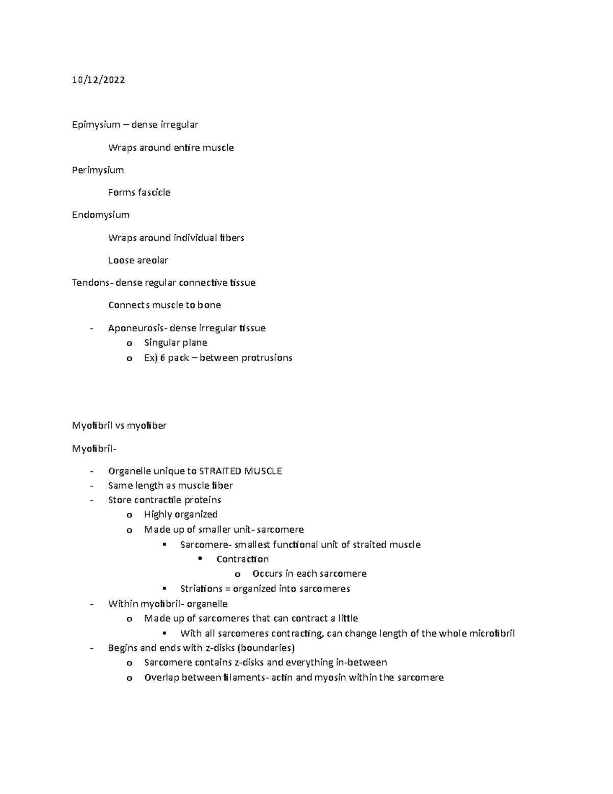 Chapter 9 - 10/12/ Epimysium – dense irregular Wraps around entire ...