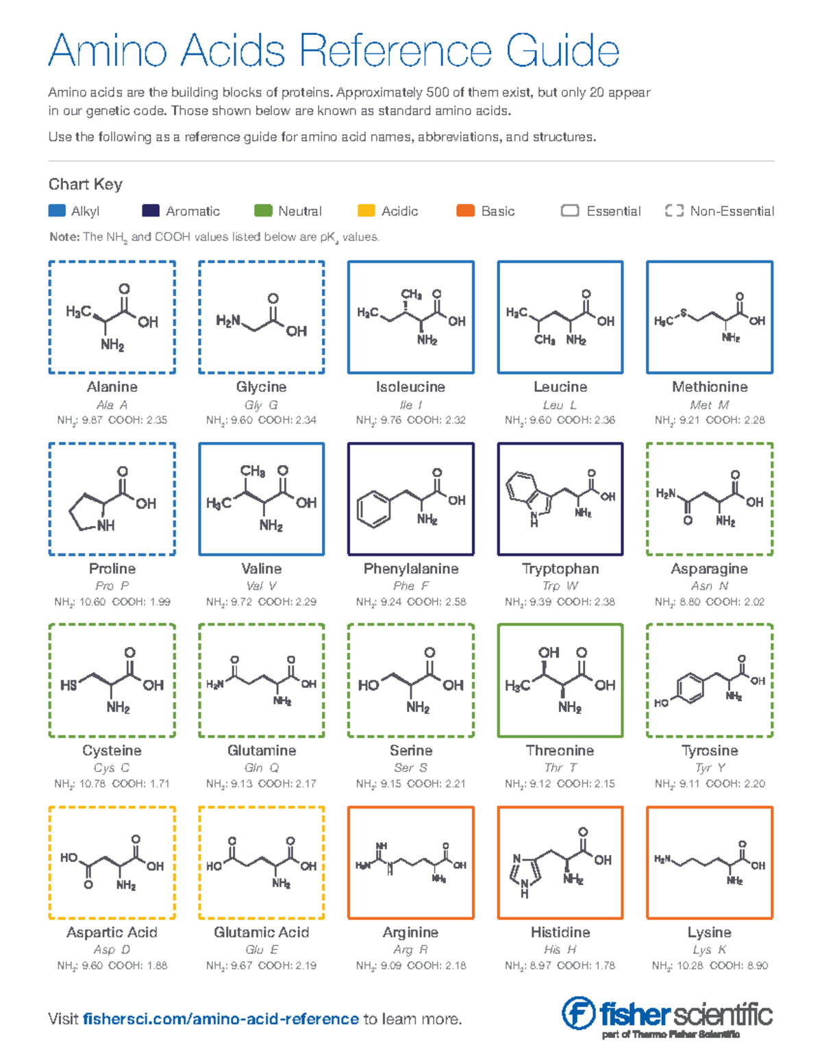 Amino Acids Reference for memorization Alanine Proline Cysteine