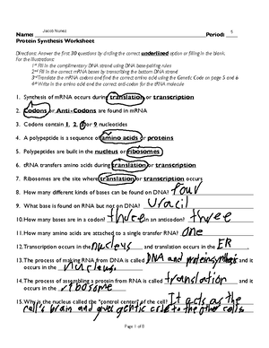 Kami Export - Protein Synthesis Worksheet.pages (1) - Name: Period: Protein  Synthesis Worksheet - Studocu