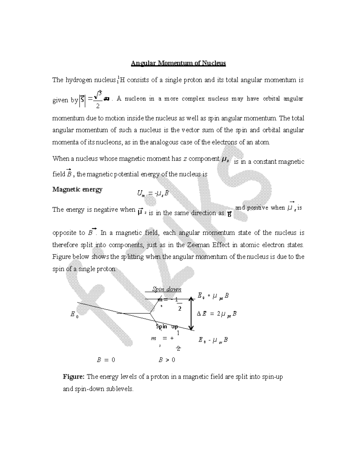 Physics Angular Momentum of Nucleus - S μ z B m s 1 2 Spin up Angular ...