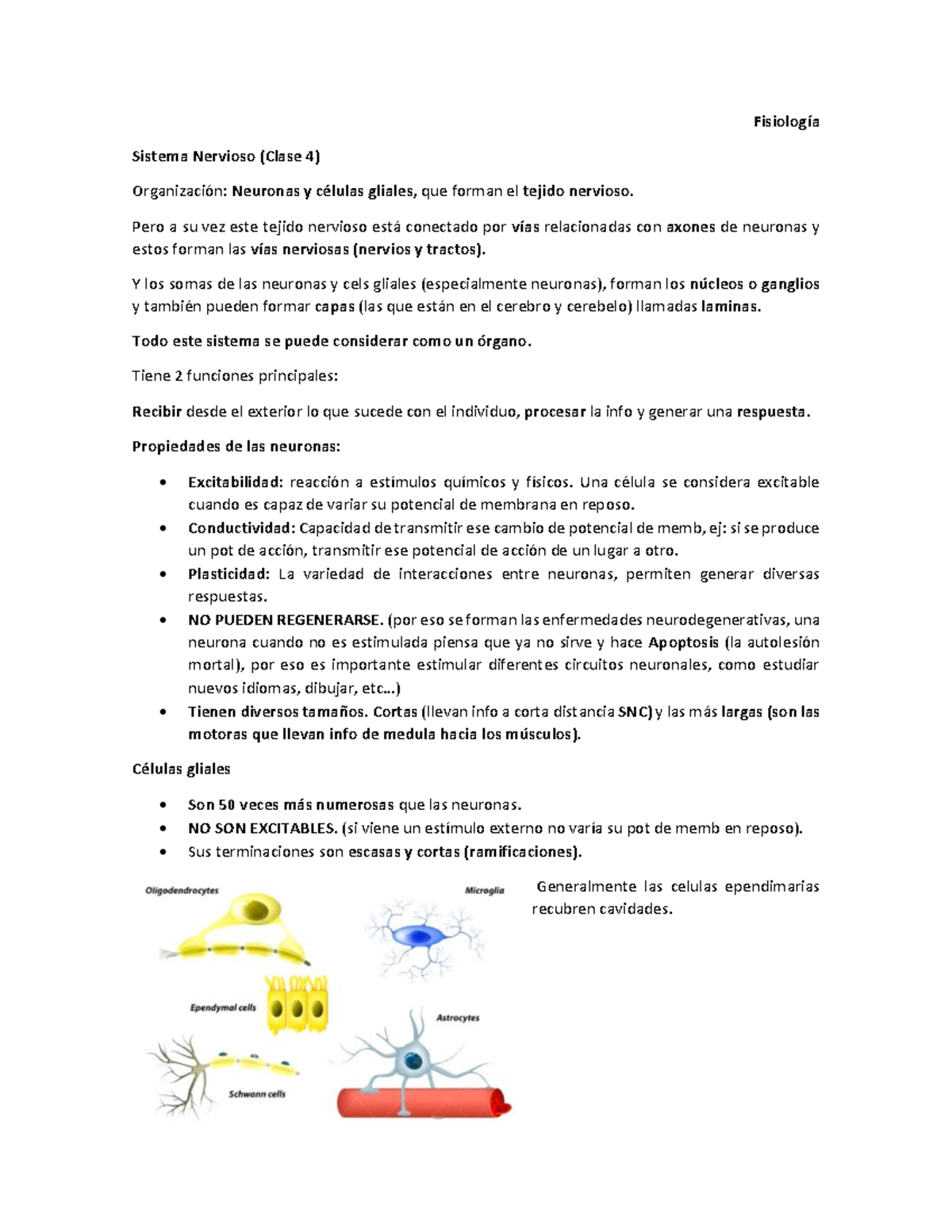 Clase 4 sist nervioso - FisiologÌa Sistema Nervioso (Clase 4 ...