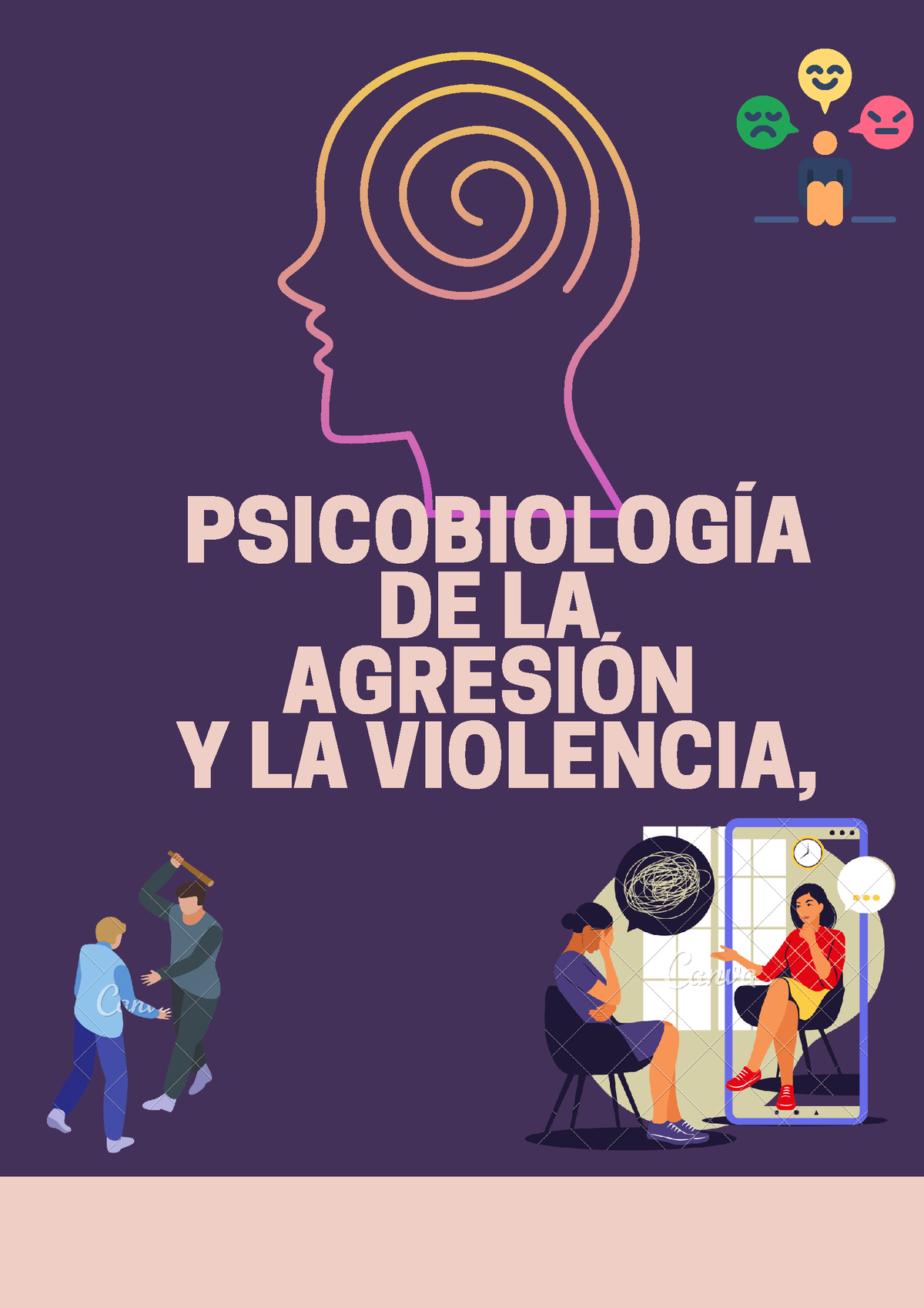 Psicobiologia De La Agresion Y La Violencia Psicobiolog A De La Agresi N Y La Violencia La