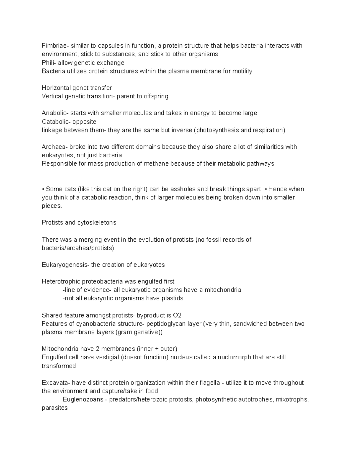 Untitled document (10) Fimbriae similar to capsules in function, a