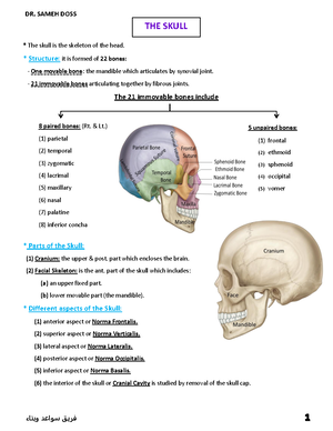 Cervical Vertebrae - Head and Neck Anatomy ( atlas included ) - *They ...