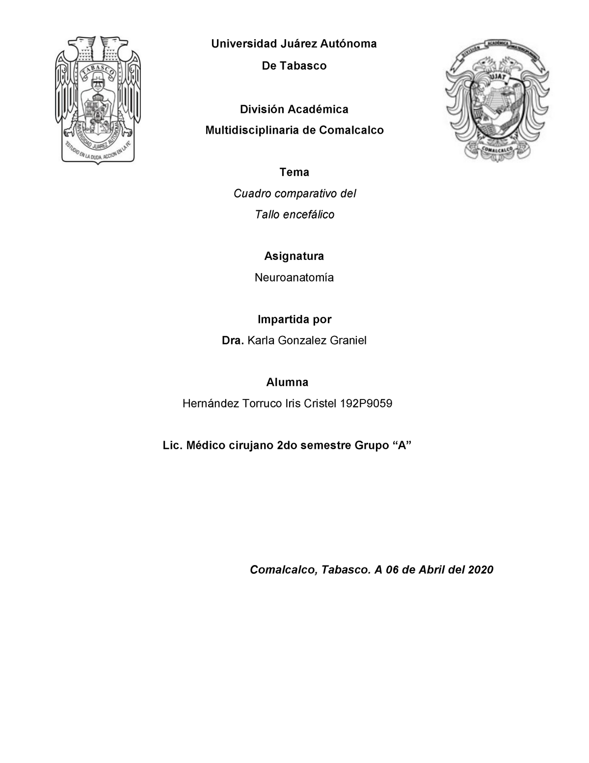 Cuadro Comparativo Tallo Encefálico Warning Tt Undefined Function 32 División Académica 1283