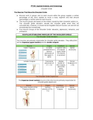 Ana Phy of Respiratory System - ANATOMY AND PHYSIOLOGY OF RESPIRATORY ...