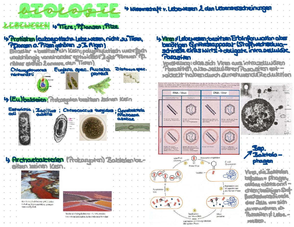 1. Vorlesung Botanik - § §s Es S U ' ÷ :*: :{ ÷ ÷ : : ¥ :: :÷÷ ...