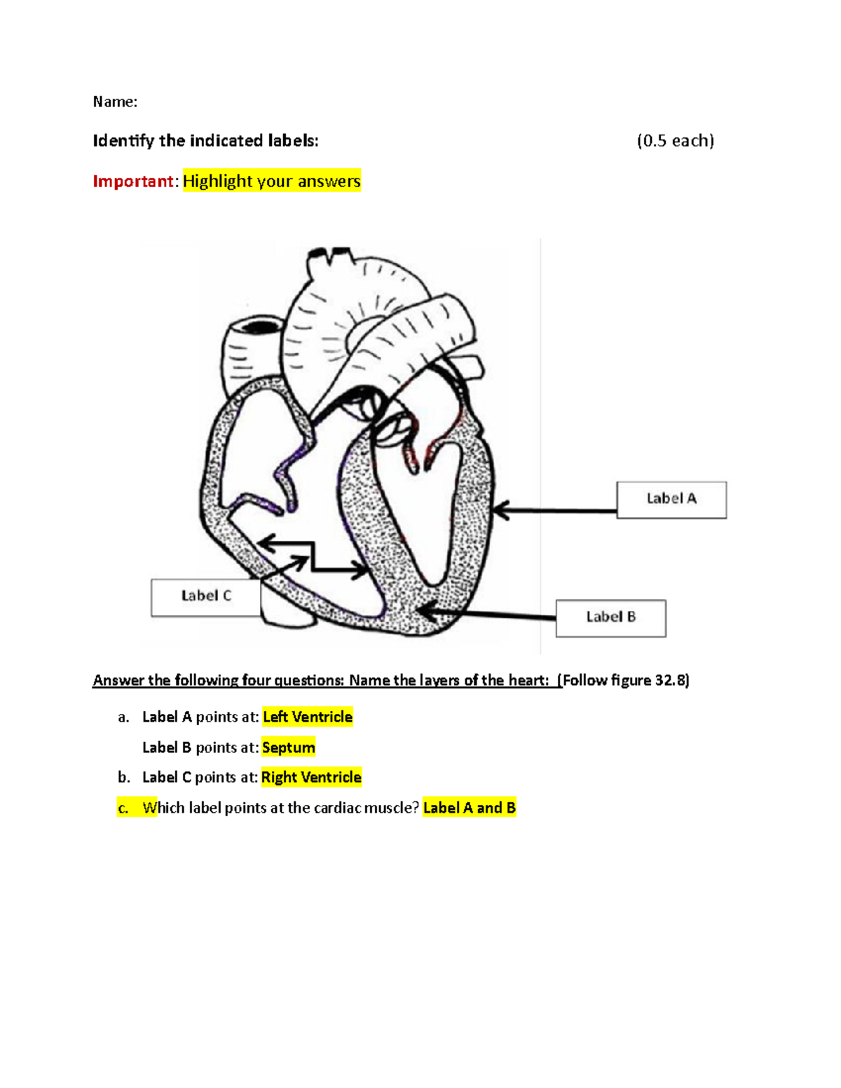 Identify heart structures finished - Name: Identify the indicated ...