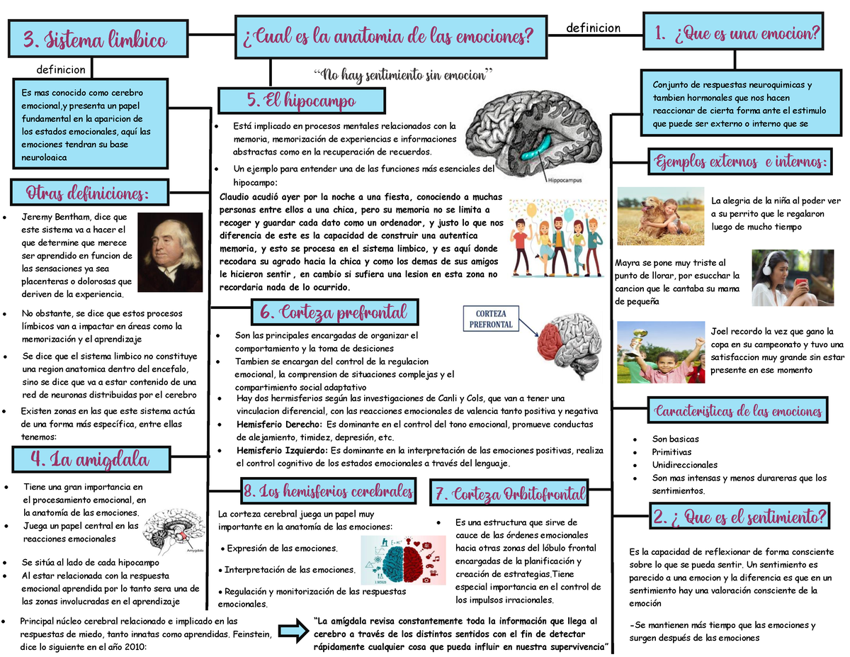 MAPA Conceptual DE LA Anatomia DE LAS Emociones - definicion øCual es la  anatomia de las emociones? - Studocu