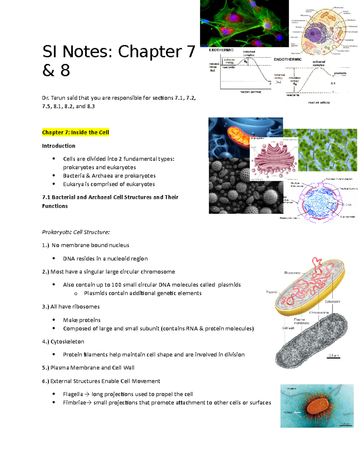 Chapter 7& 8 Notes - SI Notes: Chapter 7 & 8 Dr. Tarun said that you ...