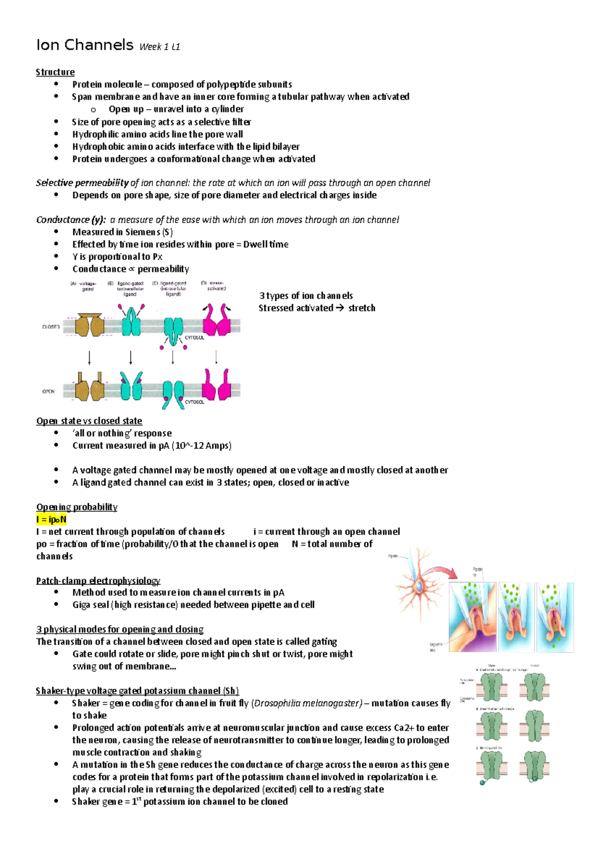 Week 1 - Lecture notes 1 - Ion Channels Week 1 L Structure Protein ...