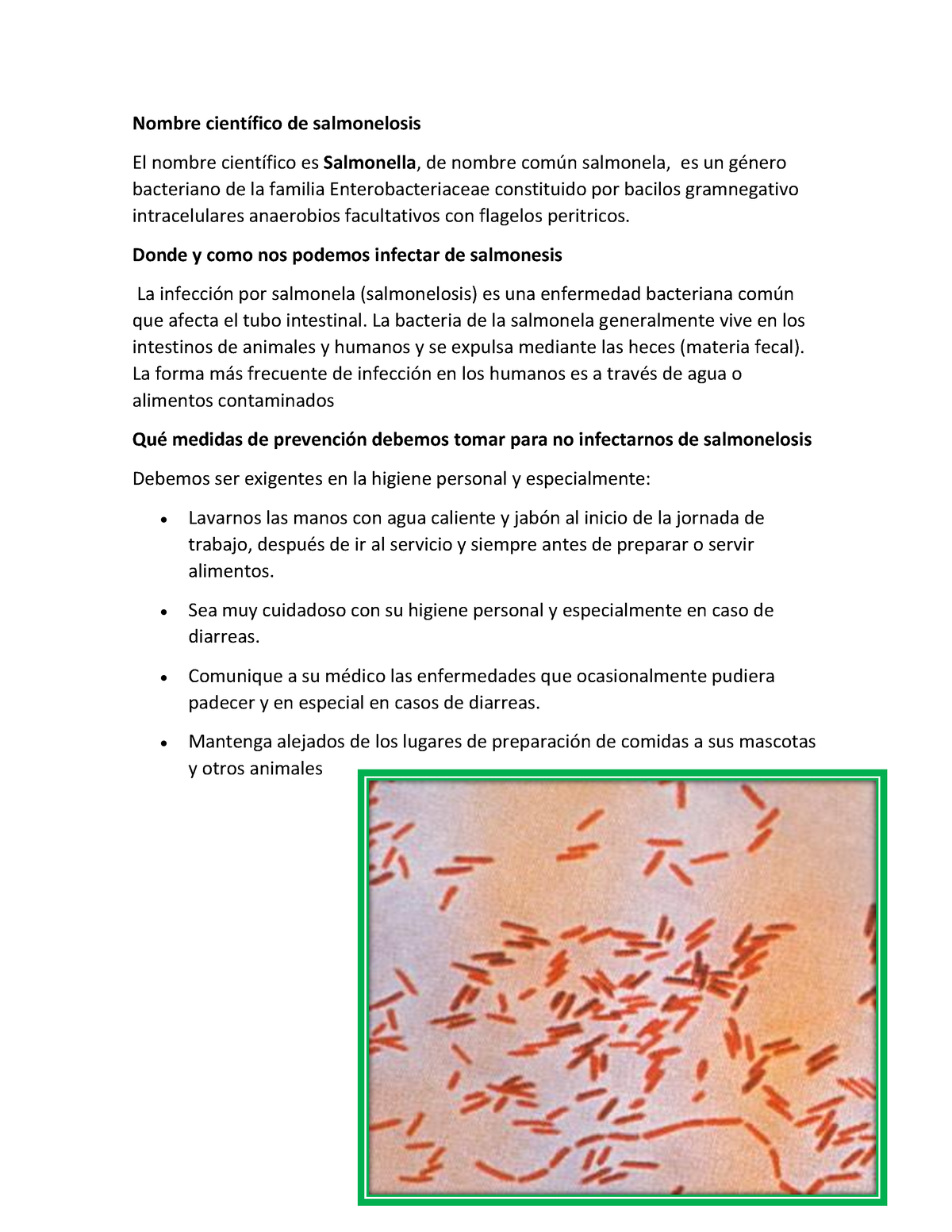 Salmonelosis - Jjjjjjjj - Nombre CientÌfico De Salmonelosis El Nombre ...