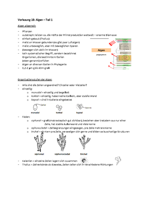 Divorg Pflanzen Und Pilze 18 Algen 1 Studocu