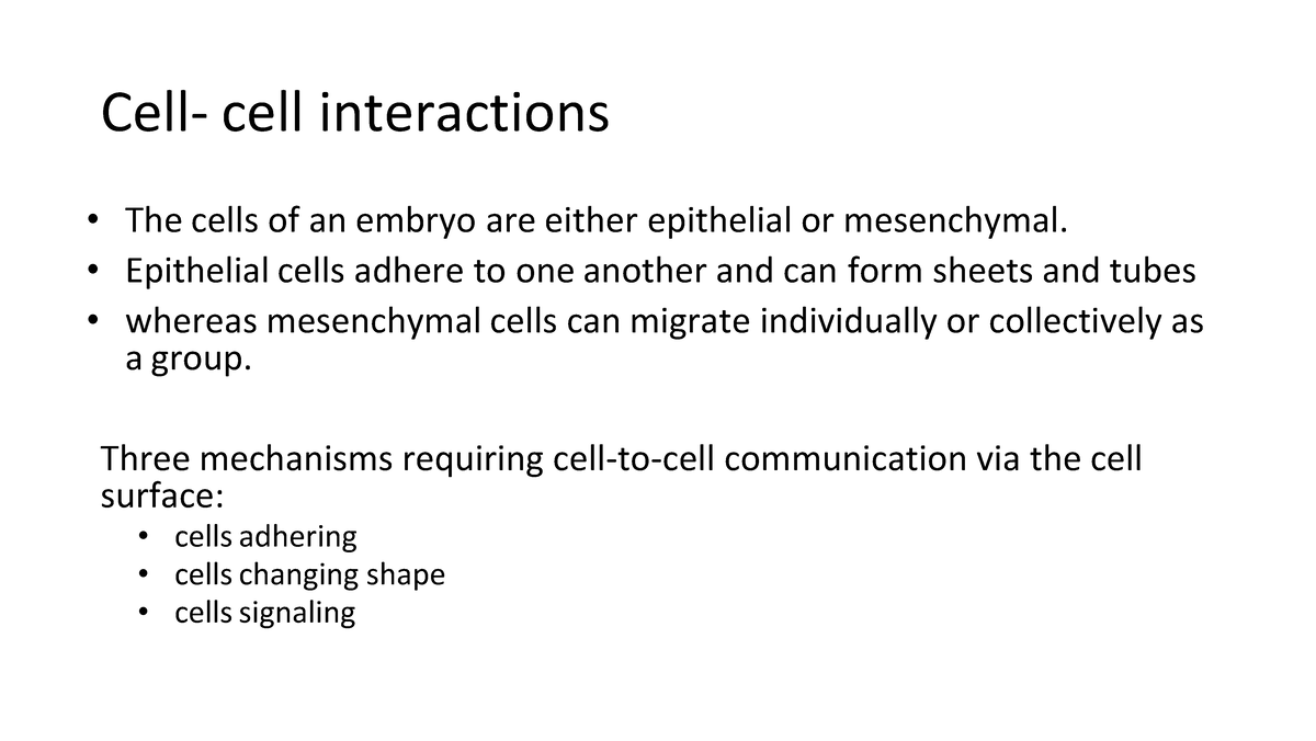 Cell Cell Interaction 2 Cell Cell Interactions • The Cells Of An Embryo Are Either Epithelial