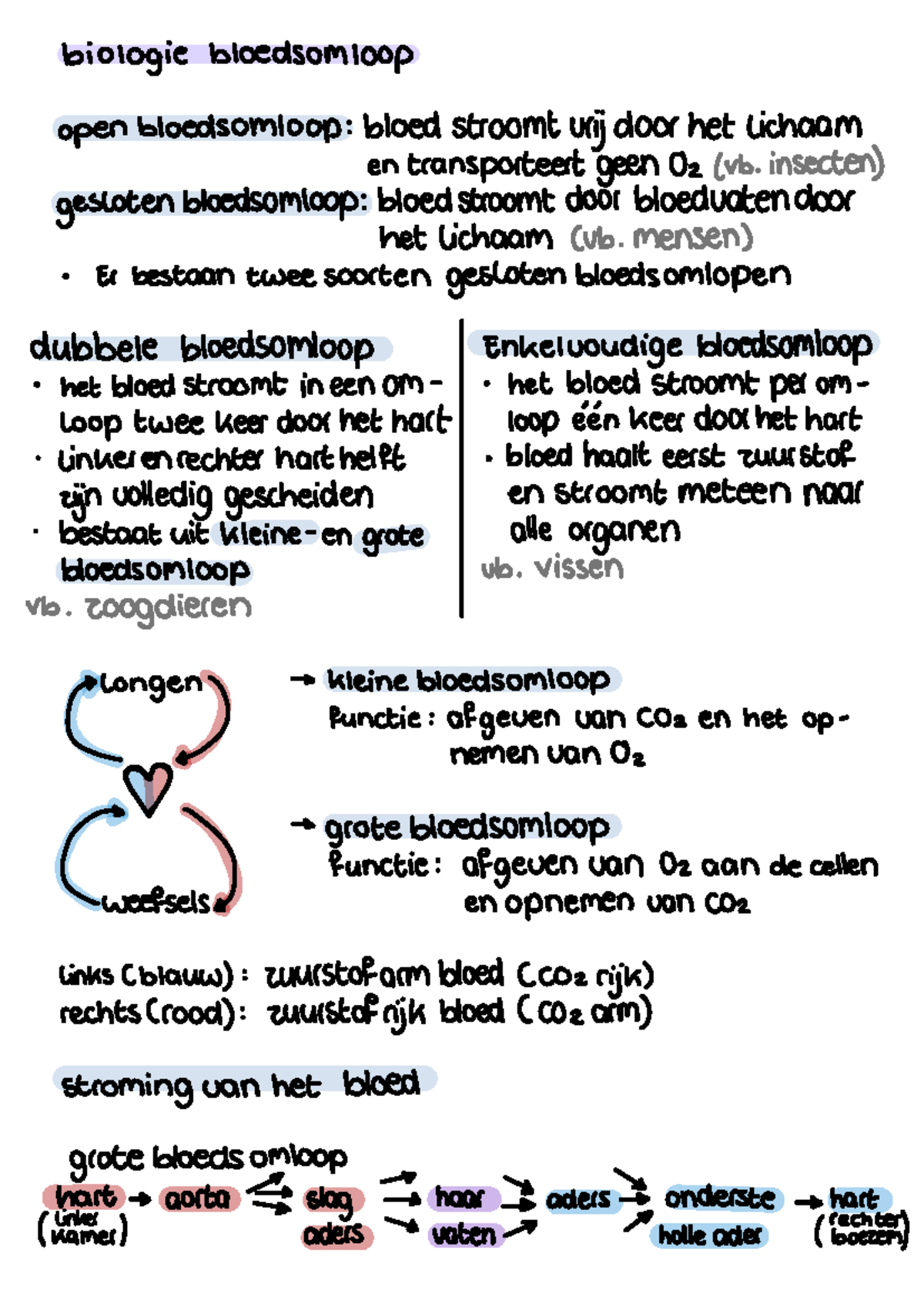 Hf 9 bloedsomloop - biologie bloedsomloop open bloedsomloop bloed ...