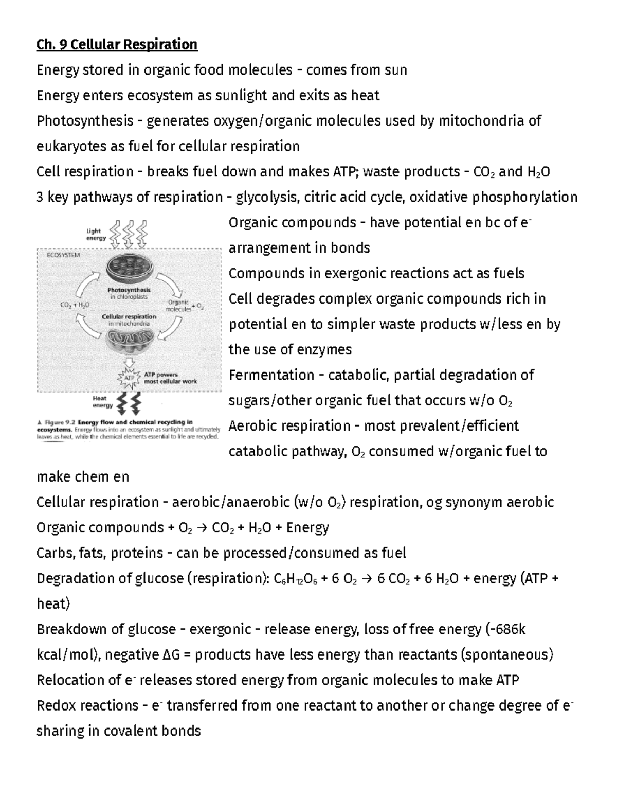 Ap Bio Q2 - Ap Bio Notes - Ch. 9 Cellular Respiration Energy Stored In 