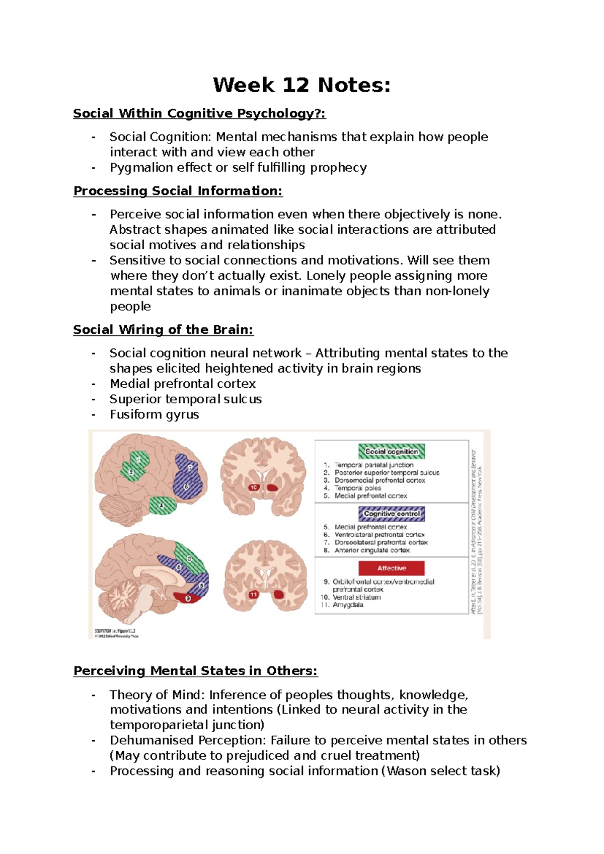Week 12 Notes - Week 12 Notes: Social Within Cognitive Psychology ...