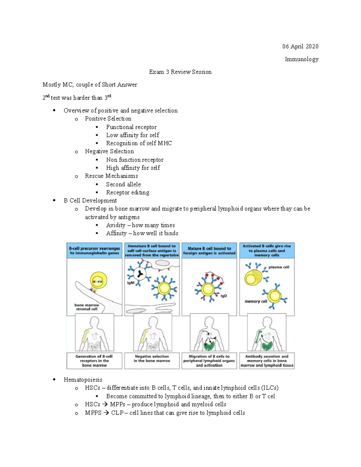 Exam 3 Review Session - 06 April 2020 Immunology Exam 3 Review Session ...