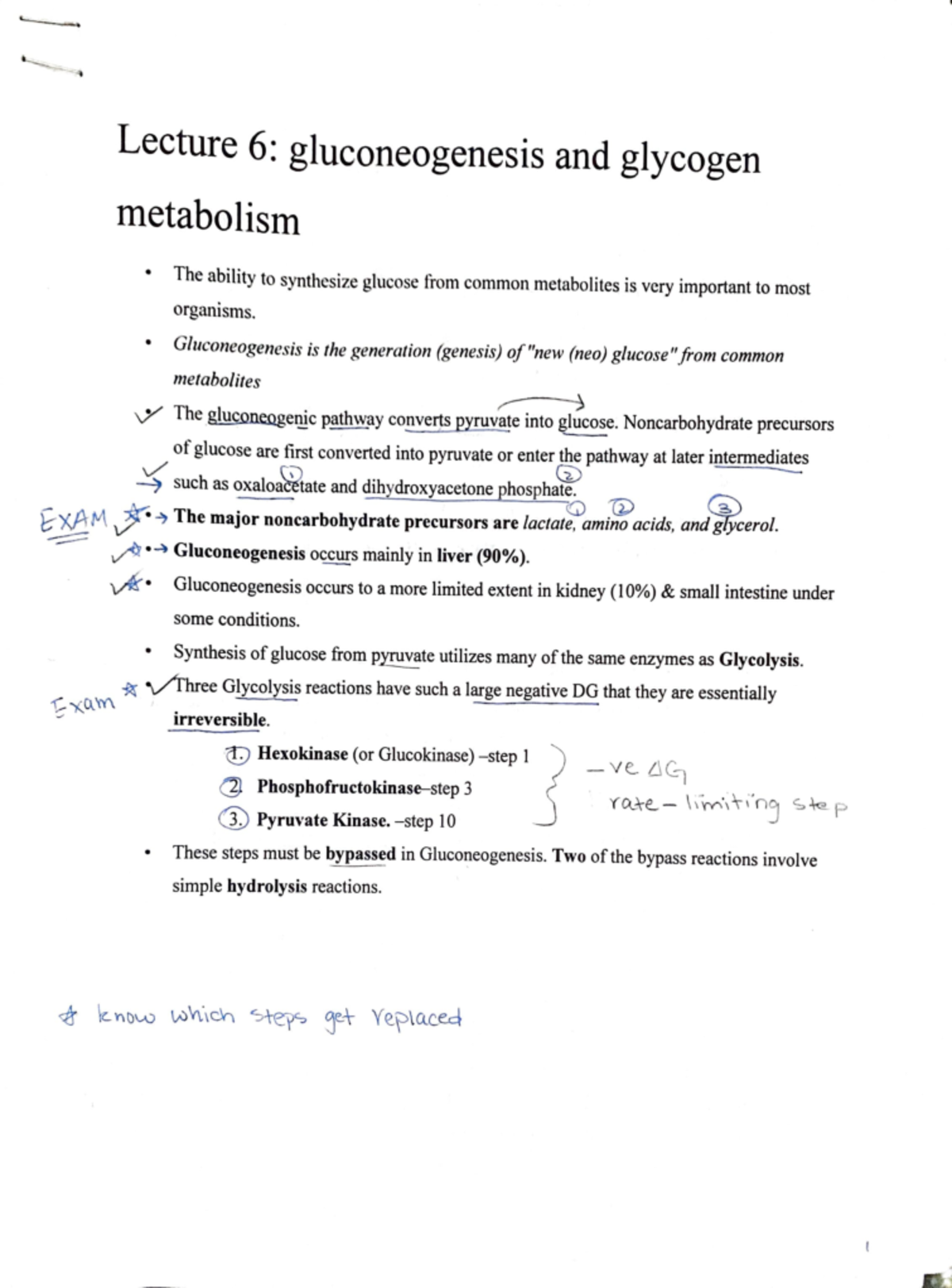 Gluconeogenesis and glycogen metabolism - Lecture 6: gluconeogenesis ...