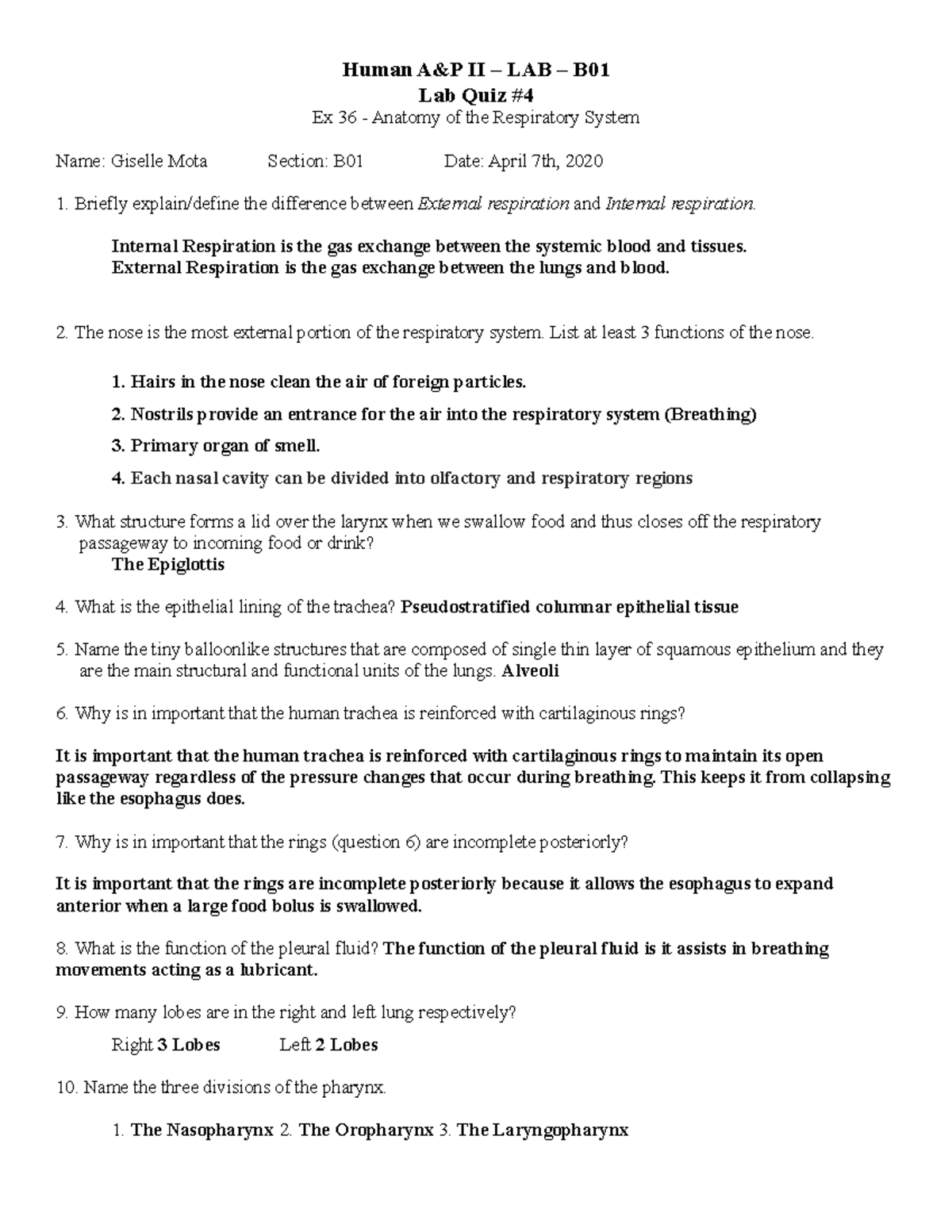 HAP2 Spr20 B01 Lab Quiz #4 Ex 36 Respiratory V1 - Human A&P II – LAB ...