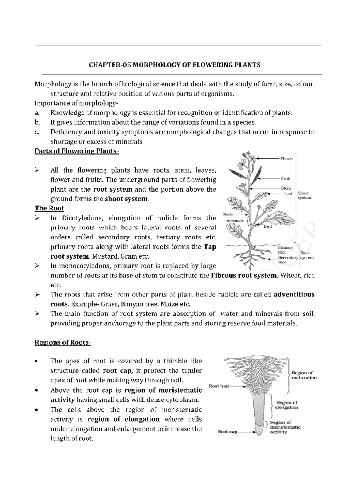 New Folder - Quick revision notes of morphology of flowerimg plant ...