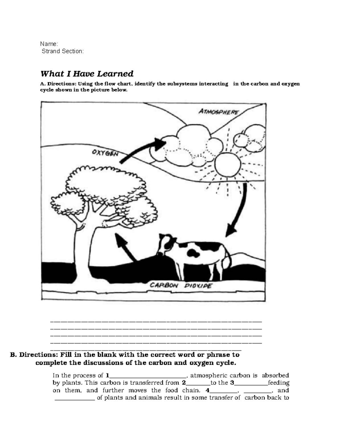 Week1 Lesson Earth Subsystem - Name: Strand Section: What I Have ...