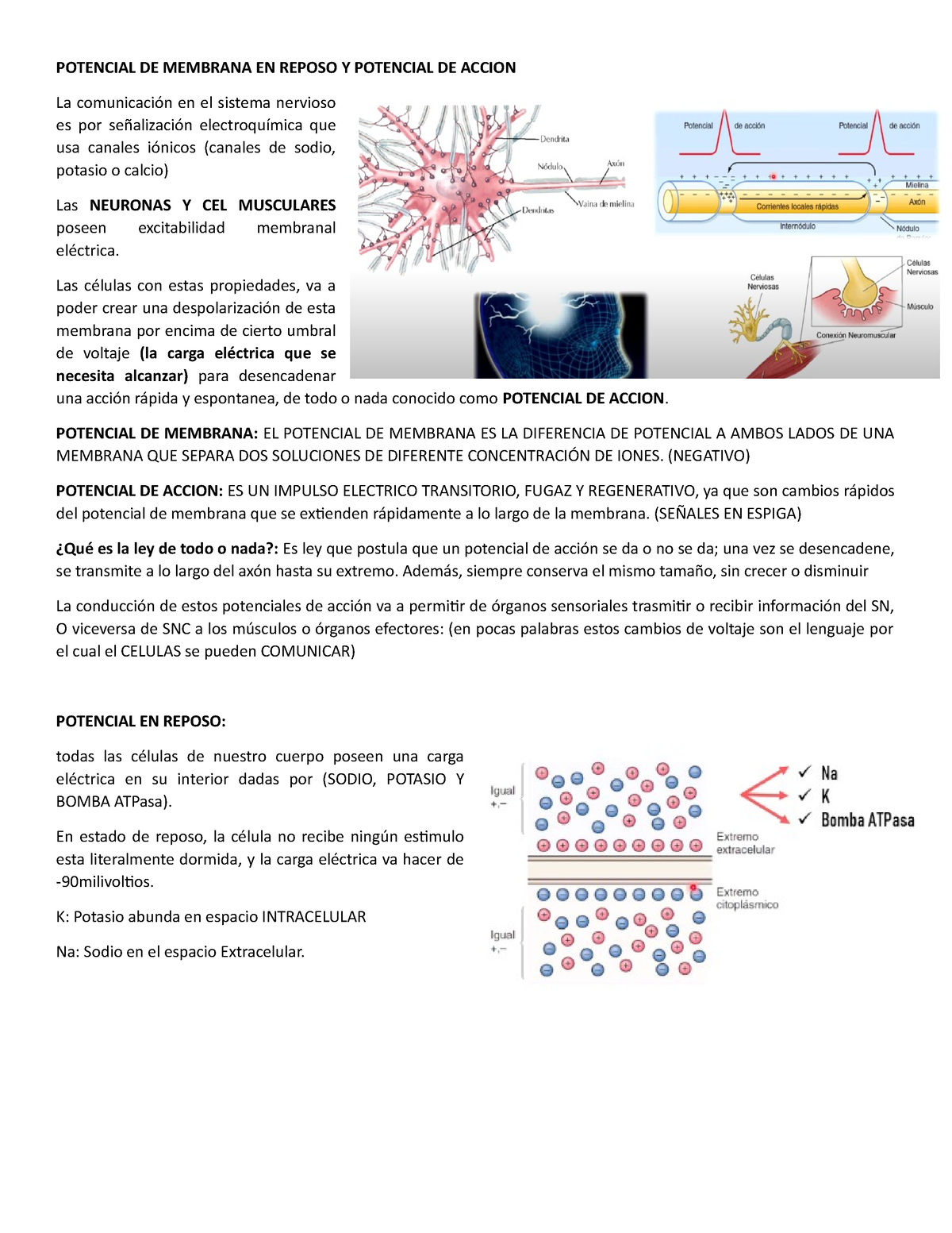 Potencial DE Membrana EN Reposo Y Potencial DE Accion POTENCIAL DE MEMBRANA EN REPOSO Y