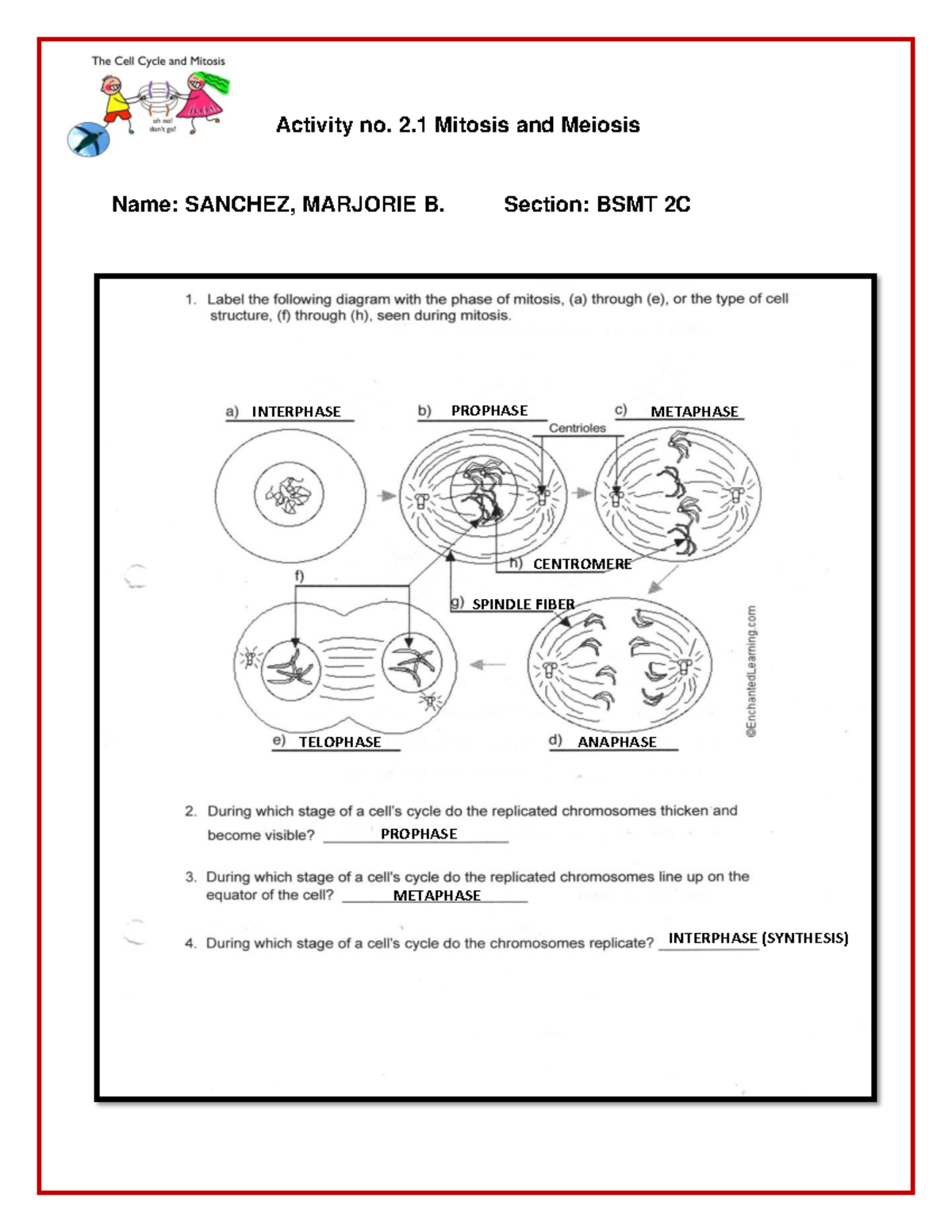 Activity No. 2.1 Mitosis And Meiosis - Medical Technology - Activity No ...