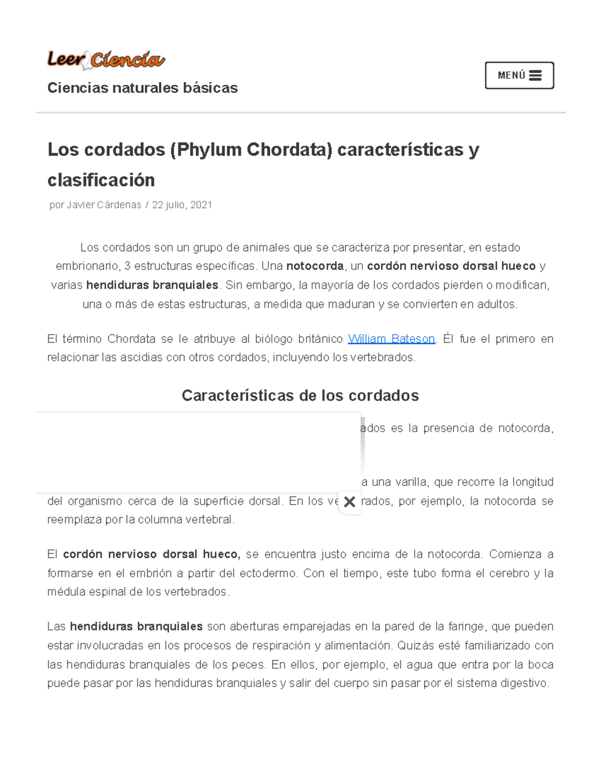 Los cordados (Phylum Chordata) características y clasificación