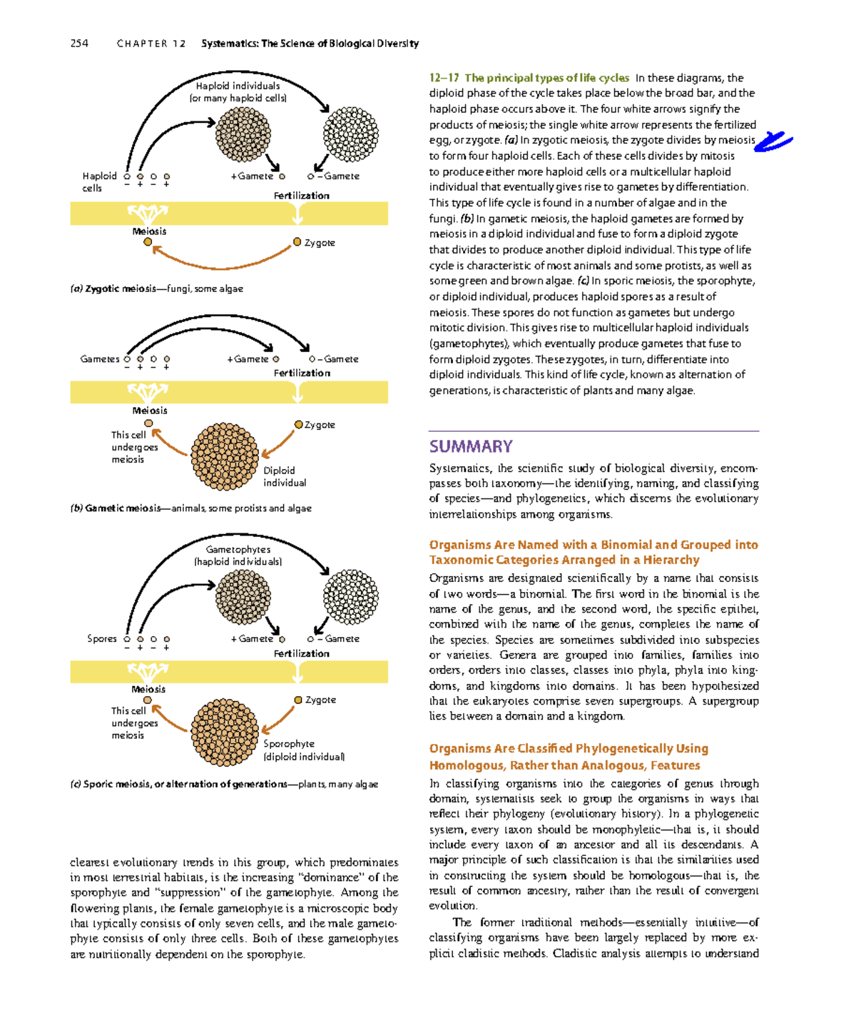 Systematics - N/a - 254 C H A P T E R 1 2 Systematics: The Science Of ...