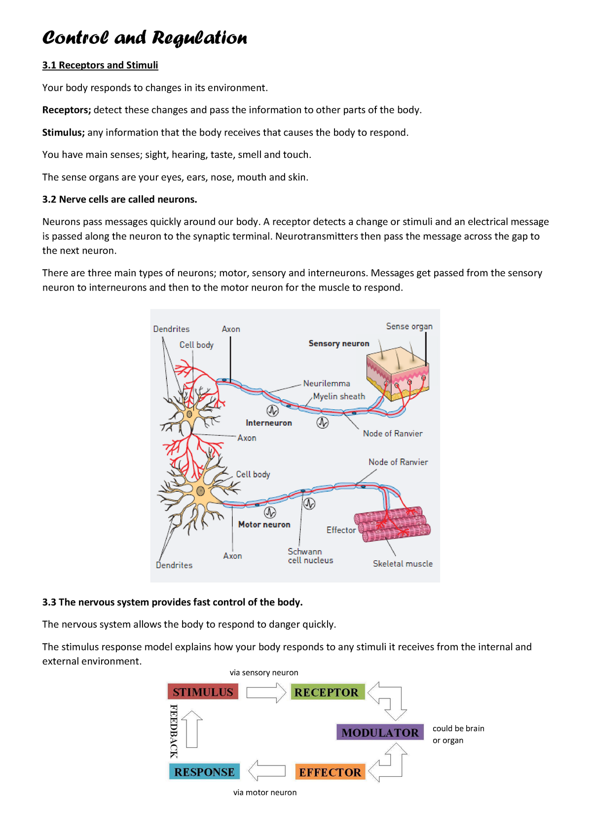 Control and Regulation Summary Notes - Control and Regulation 3 ...