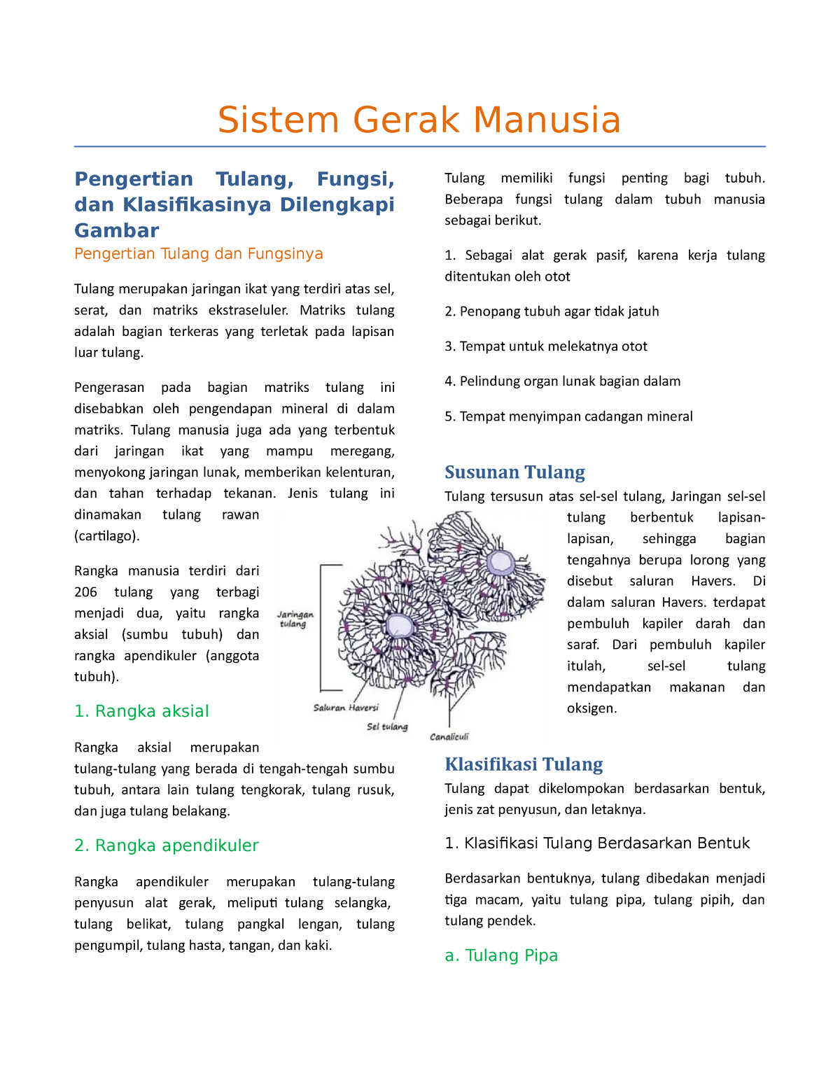 Sistem Gerak Manusia - High School Biology Subject School Notes ...