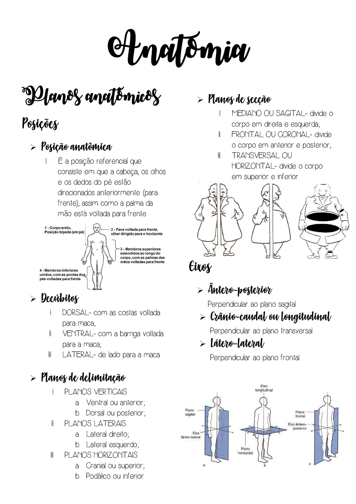 Descrição Dos Planos Anatômicos Resumo Anatomia Planos Anatômicos Posições Posição Anatômica I 8068