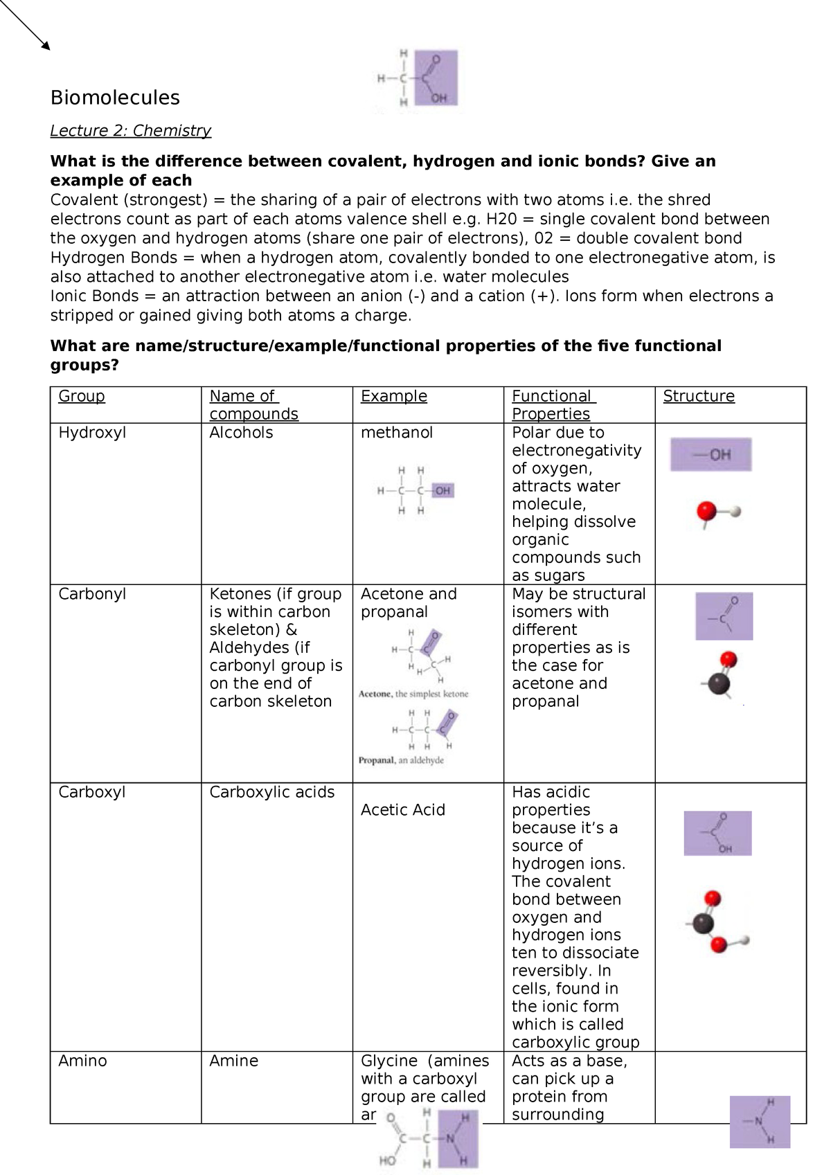 4 Biomolecules Chart