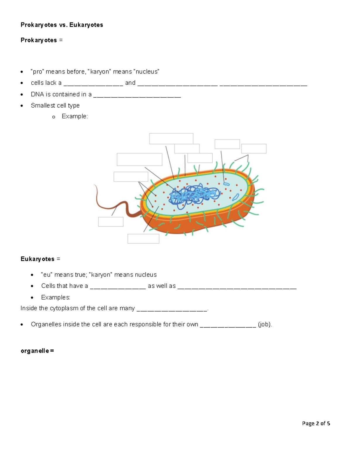 0 - Review of Cells and Organelles - Page 2 of 5 Prokaryotes vs ...