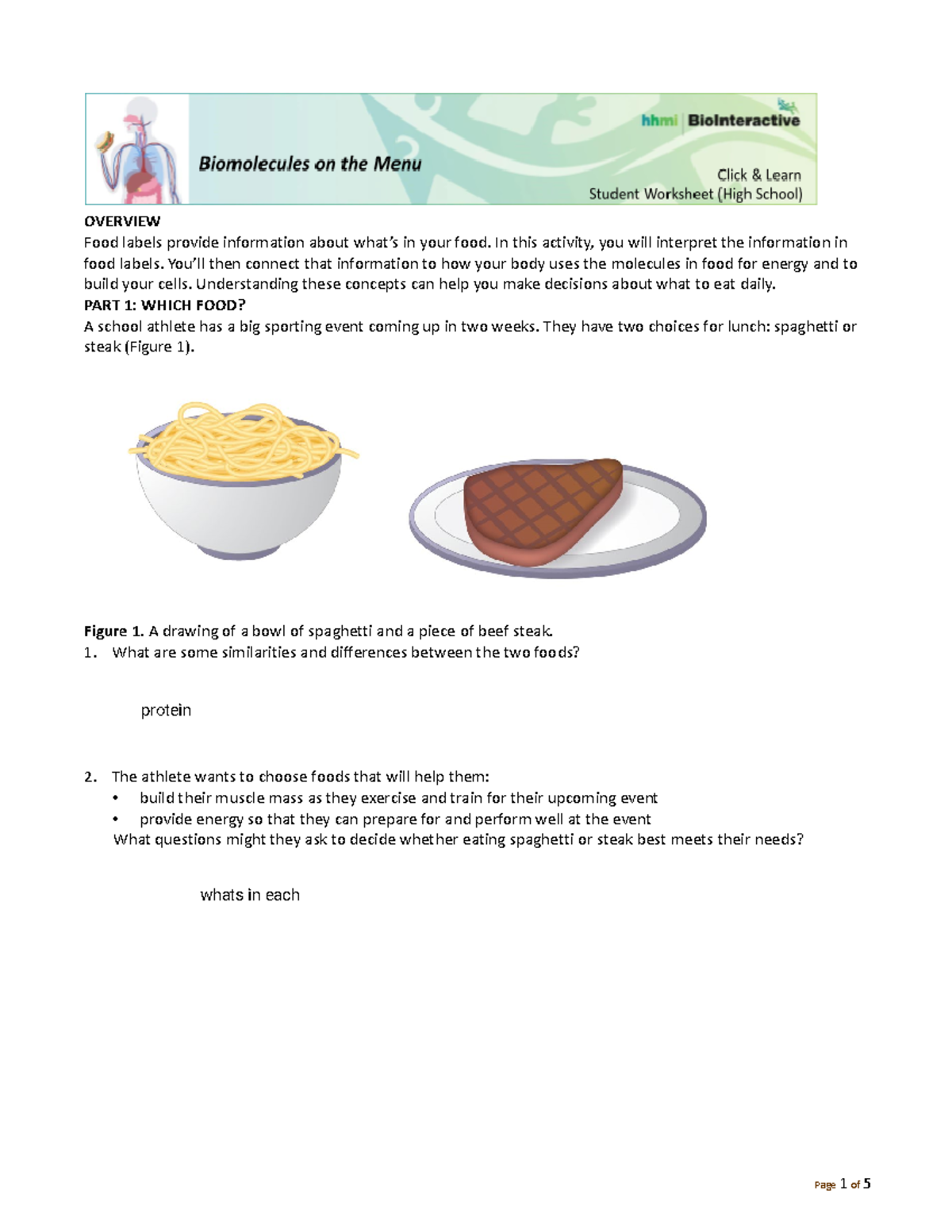 Kami+Export++Matthew Ceban++Biomolecules+Menu+Student+Worksheet