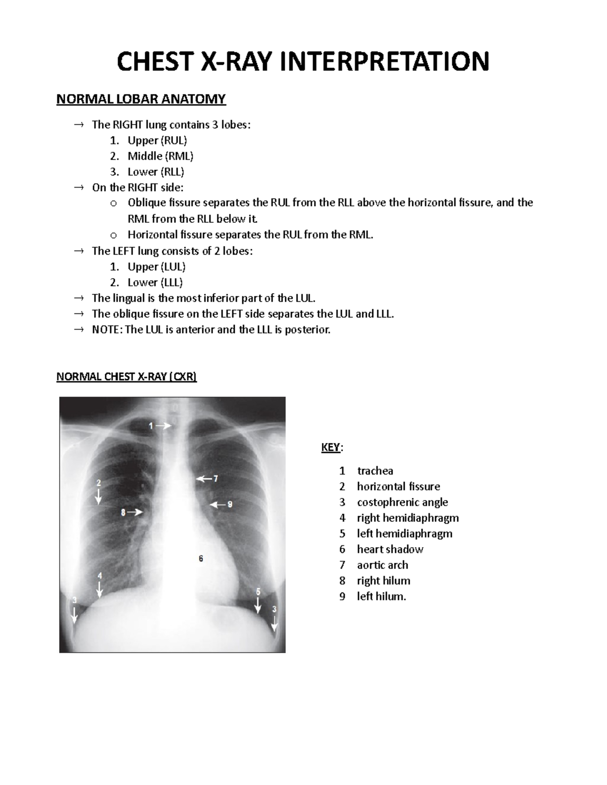 Chest X-RAY Interpretation - CHEST X-RAY INTERPRETATION NORMAL LOBAR ...