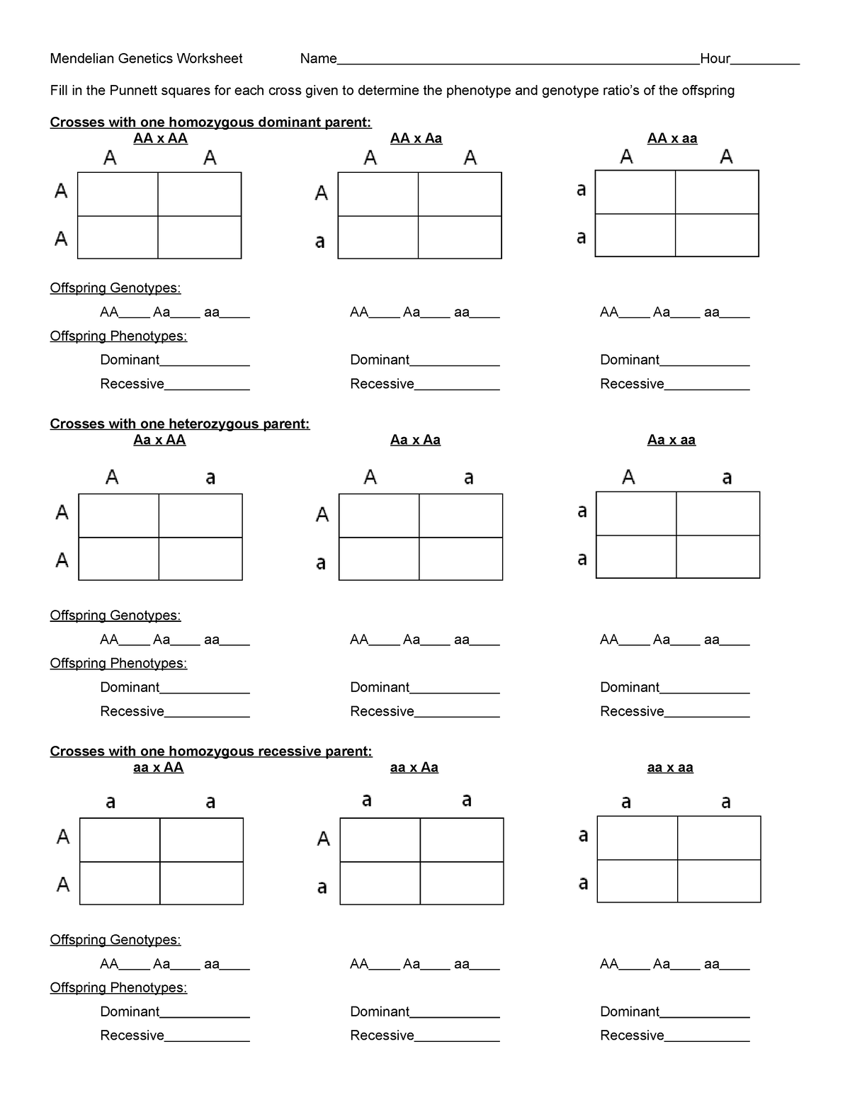 punnett-square-worksheet-for-grade-12-biology-mendelian-genetics